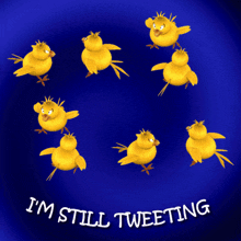 I'M Still Tweeting Tweet Tweet GIF - I'M Still Tweeting Tweet Tweet I Like To Tweet GIFs