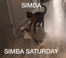 Simba Saturday GIF - Simba Saturday Cat GIFs