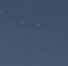 Bluee GIF - Bluee GIFs