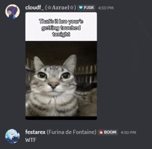 a picture of a cat says that 's it bro your 're getting touched tonight