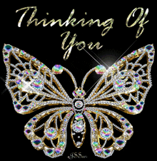 a picture of a butterfly with the words " thinking of you " on it
