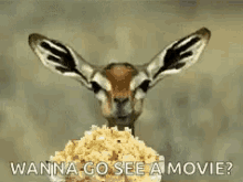 Wanna Go See A Movie Popcorn GIF - Wanna Go See A Movie Popcorn Deer GIFs