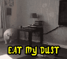 eat my dust