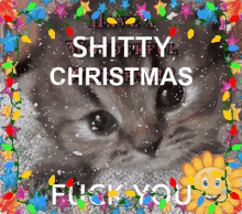 Cat Shitty GIF - Cat Shitty Christmas GIFs