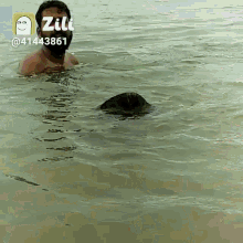 a man in a mask is swimming in a body of water with zilt written on the bottom right