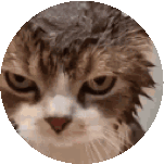Sad Cat Sticker - Sad Cat Stickers