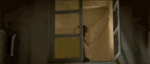 Looking Through Window Observing GIF