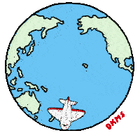 a drawing of a plane flying around a globe with the words dkms below it