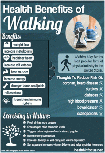 Walking Benefits GIF - Walking Benefits - Discover & Share GIFs