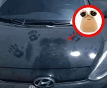 a hyundai car has a sticker on the hood that looks like a face