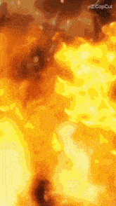 a close up of a fire with the words capcut in the corner