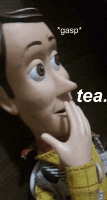 Toy Story Woody GIF - Toy Story Woody Tea GIFs