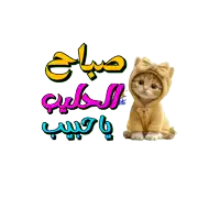 a cat is holding a bouquet of flowers in front of a sign that says good morning in arabic