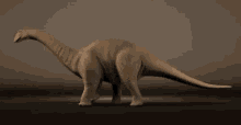 Dinosaur GIF
