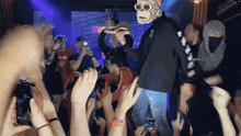 Shoey Party GIF - Shoey Party Yoots GIFs