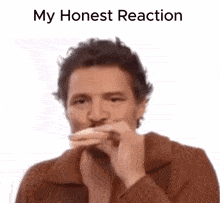 My Honest Reaction My Honest Reaction Meme GIF - My Honest Reaction My Honest Reaction Meme Pedro Pascal GIFs