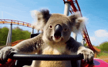 a koala bear is riding a roller coaster in an amusement park