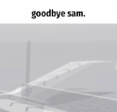 a white background with the words goodbye sam on top