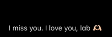 the words i miss you i love you lab are on a black background