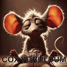 a cartoon mouse with big ears is sitting on a wooden floor with the words cox yoruldum below it