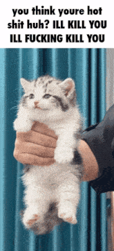 a person holding a small kitten with a caption that says you think youre hot shit huh