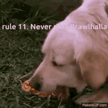 rule11