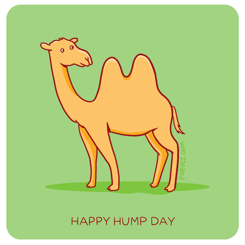 Happy Hump Day Wednesday Camel Camel Hump Day Wednesday Camel を見つけて共有する