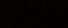 Newt Scamander GIF - Newt Scamander Fantastic GIFs