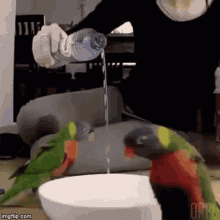 Pouring Water Water Bottle GIF - Pouring Water Water Bottle Cult GIFs