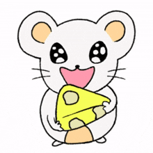 cheese little animal rodent mouse mice