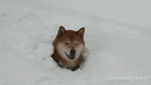 Snow Doge GIF - Snow Doge Dogecoin GIFs