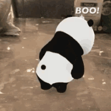 Run Panda GIF - Run Panda Boo GIFs