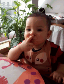 Putap Baby GIF - Putap Baby Eating GIFs