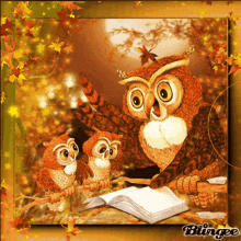 Owls Owlets GIF - Owls Owlets Baby Owls GIFs