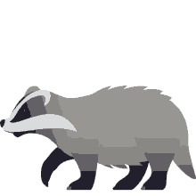 badger nature