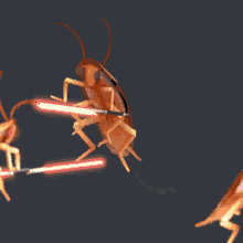 Lightsaber Star Wars GIF - Lightsaber Star Wars Cockroaches GIFs