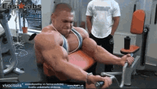 Body Builder Muscles GIF