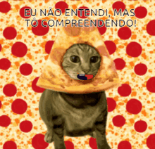 Pergunte Ao Gato Pizza Kaukkakanom GIF - Pergunte Ao Gato Pizza Kaukkakanom Eu Não Entendi Mas To Compreendendo GIFs