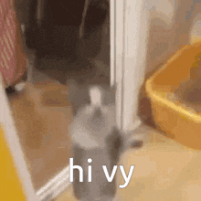 Hi Vy Cat Jump GIF - Hi Vy Cat Jump Cat Jumping GIFs