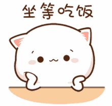 cute waiting mochi peach cat cute waiting mochi peach cat