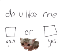 a drawing of a kitten with the words do u like me or or yes