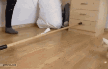 Epicfail Cats GIF - Epicfail Cats Faceplant GIFs