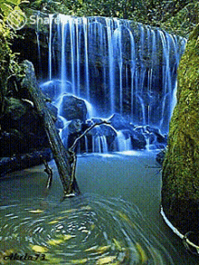 Waterfall Falls GIF