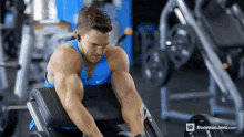Biceps Workout Work Out GIF