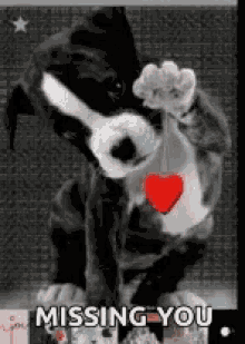 Dog Missing You GIF - Dog Missing You Heart GIFs