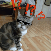 What Chabu GIF - What Chabu Cat GIFs