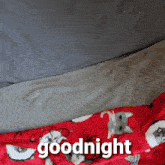 Power Goodnight GIF - Power Goodnight Chainsaw Man GIFs