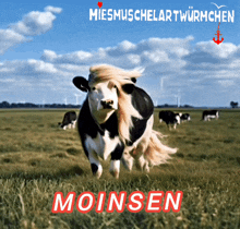 Moinsen Hallo GIF - Moinsen Hallo Hello GIFs