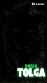 a black panther with green eyes and the name tolga