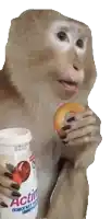 a monkey eating a donut next to a bottle of actin